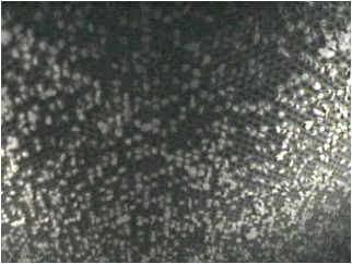 Image from Flow-Scope showing large particle ash buildup on a catalyst.